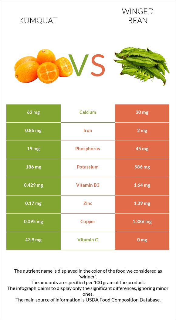 Kumquat vs Winged bean infographic