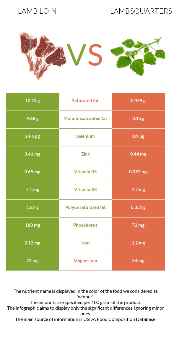 Lamb loin vs Lambsquarters infographic