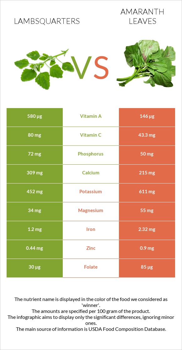 Lambsquarters vs Amaranth leaves infographic
