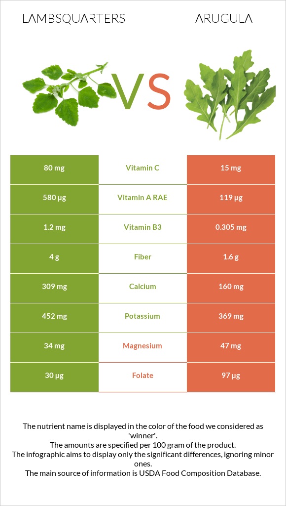 Lambsquarters vs Arugula infographic