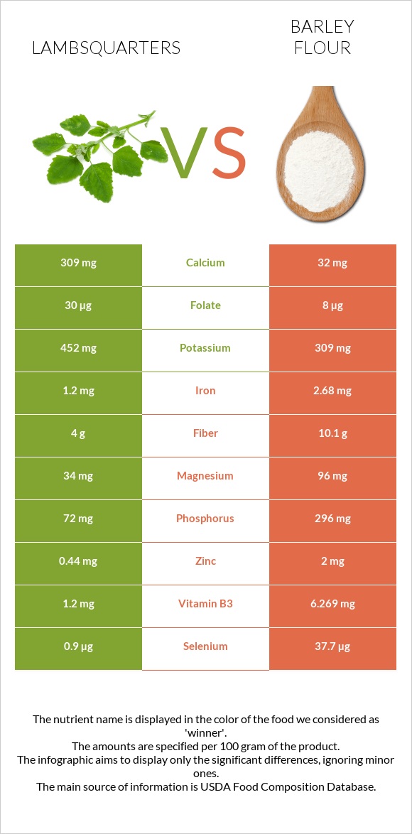 Lambsquarters vs Barley flour infographic