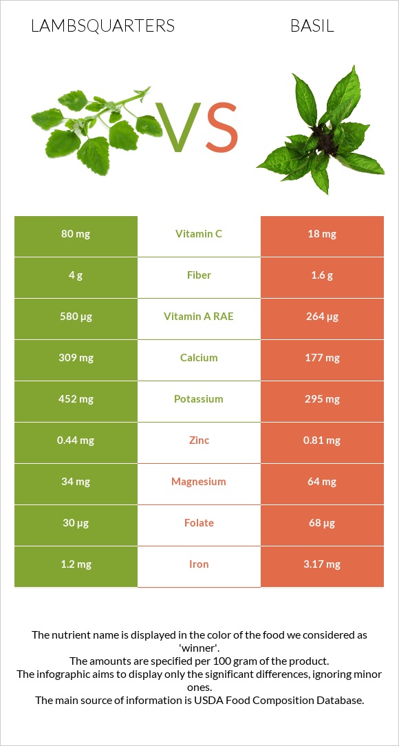 Lambsquarters vs Basil infographic