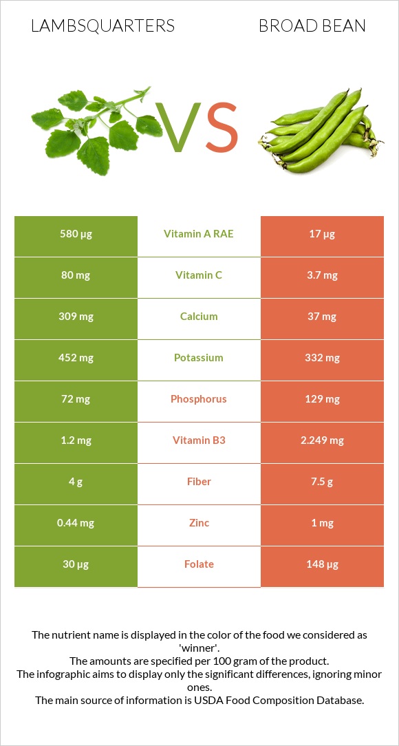 Lambsquarters vs Broad bean infographic