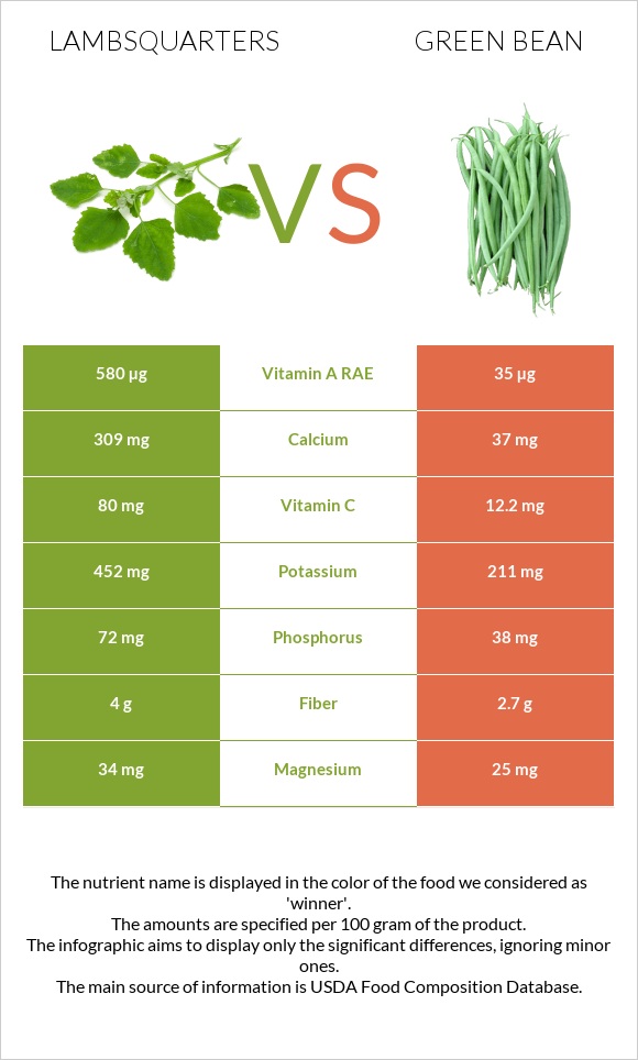 Lambsquarters vs Green bean infographic