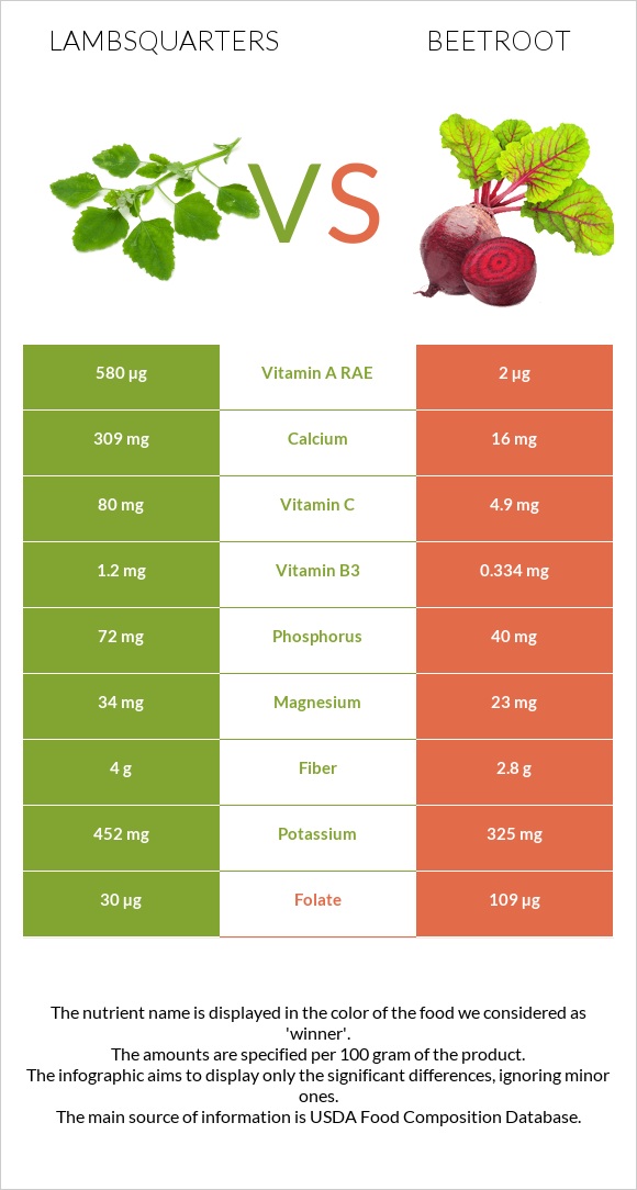 Lambsquarters vs Beetroot infographic
