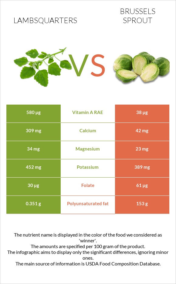 Lambsquarters vs Brussels sprout infographic