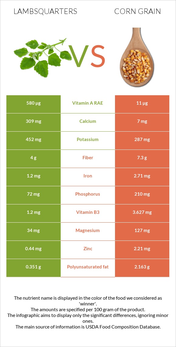 Lambsquarters vs Corn grain infographic