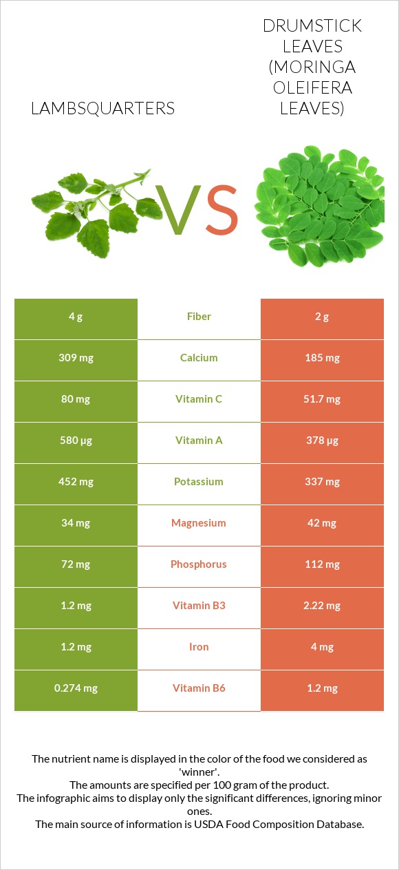 Lambsquarters vs Drumstick leaves infographic