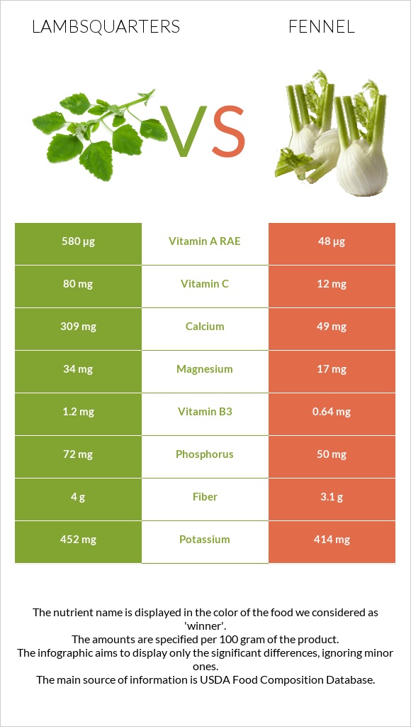 Lambsquarters vs Fennel infographic