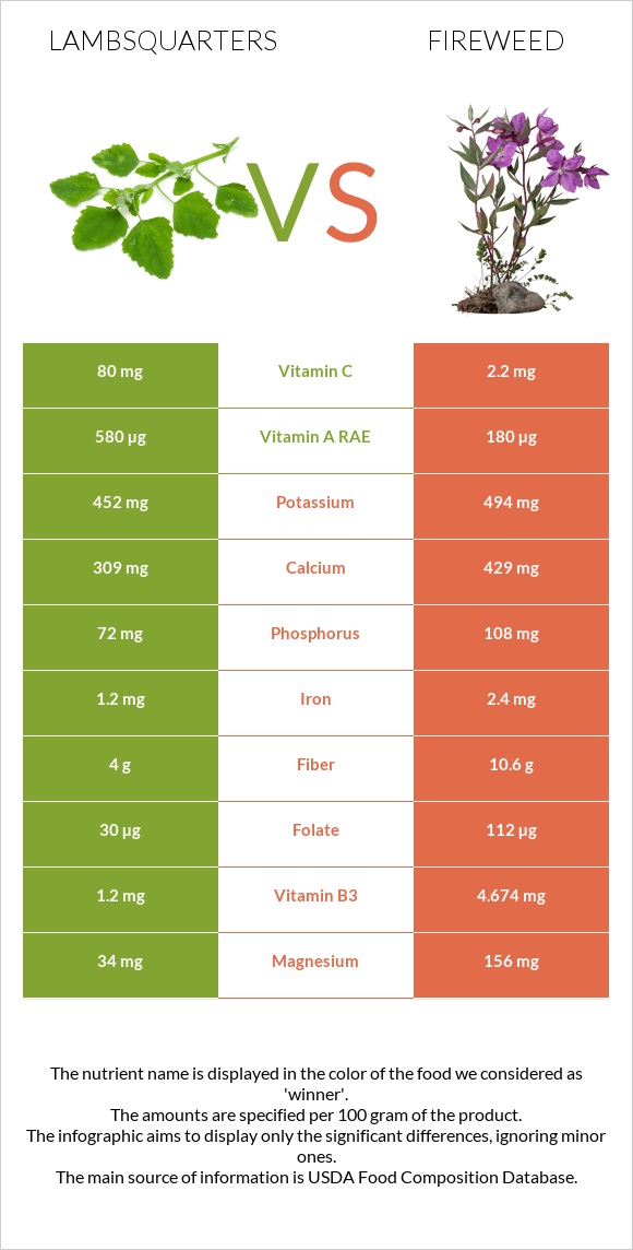 Lambsquarters vs Fireweed infographic