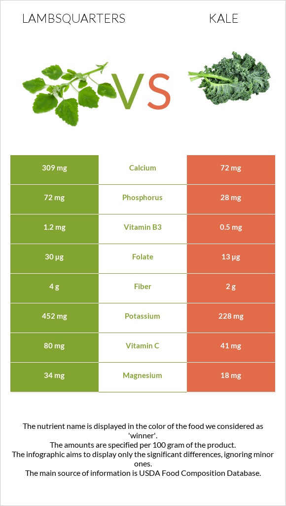Lambsquarters vs Kale infographic