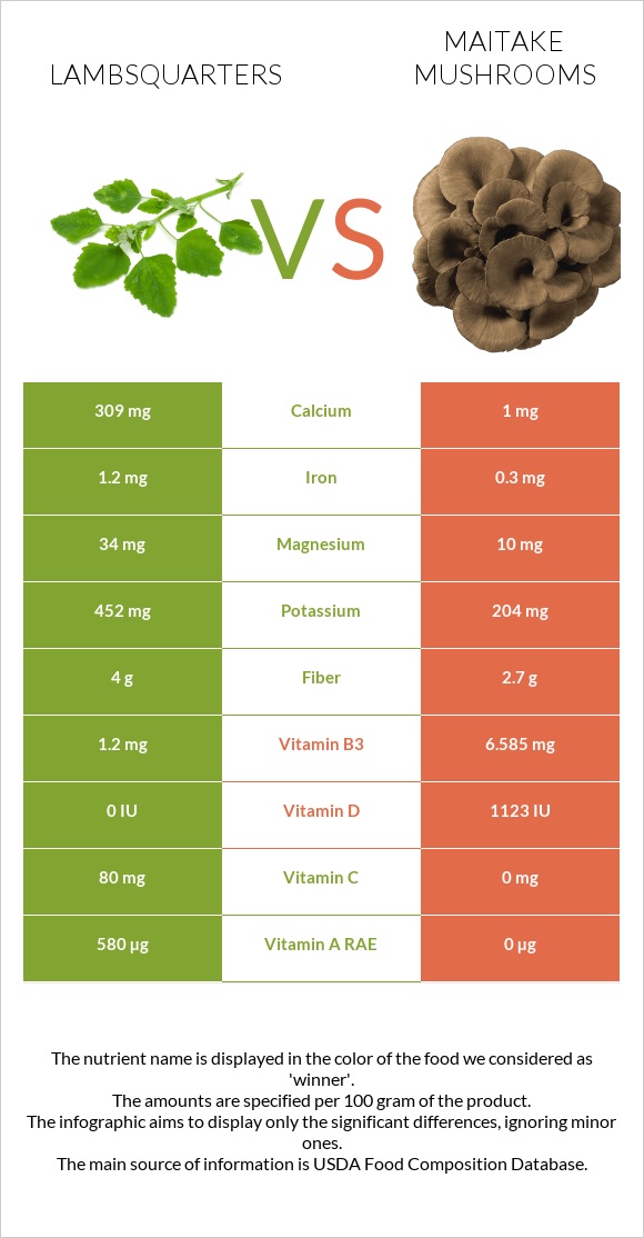 Lambsquarters vs Maitake mushrooms infographic