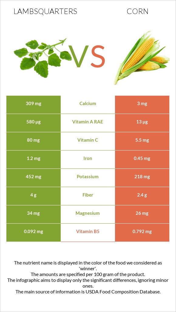 Lambsquarters vs Corn infographic