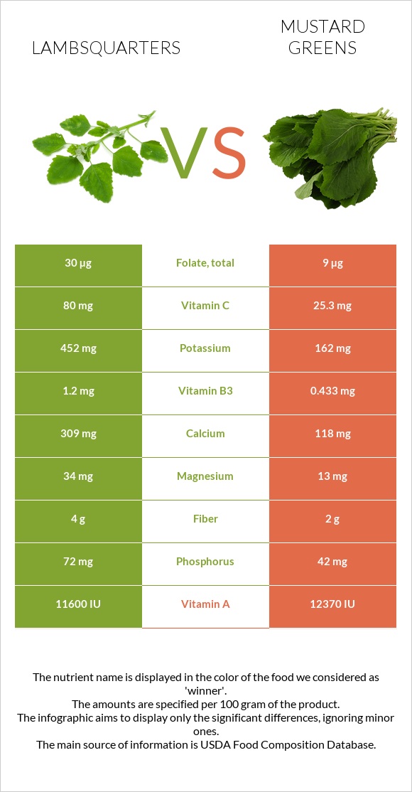 Lambsquarters vs Mustard Greens infographic