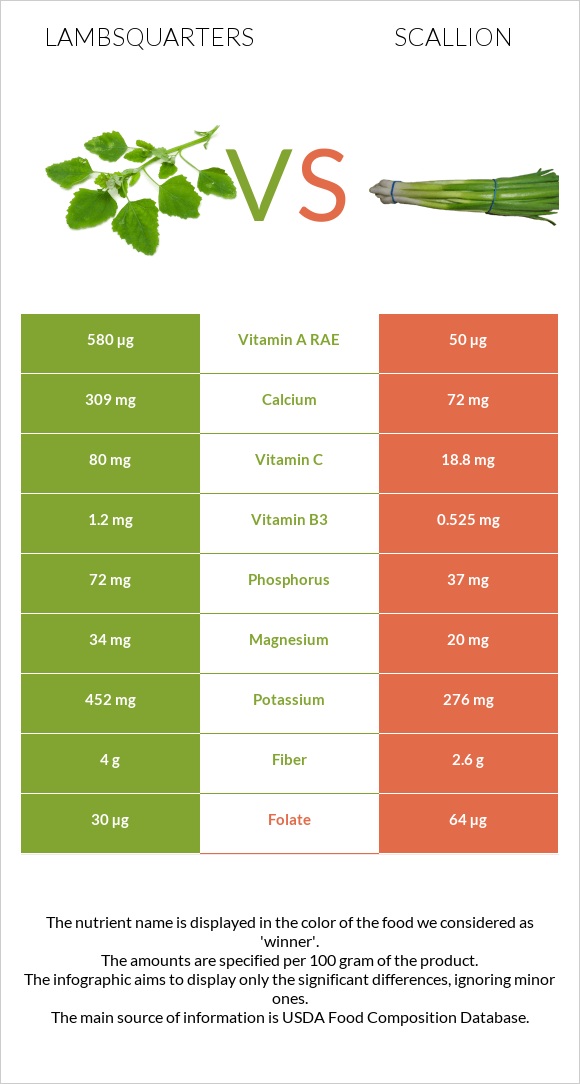 Lambsquarters vs Scallion infographic