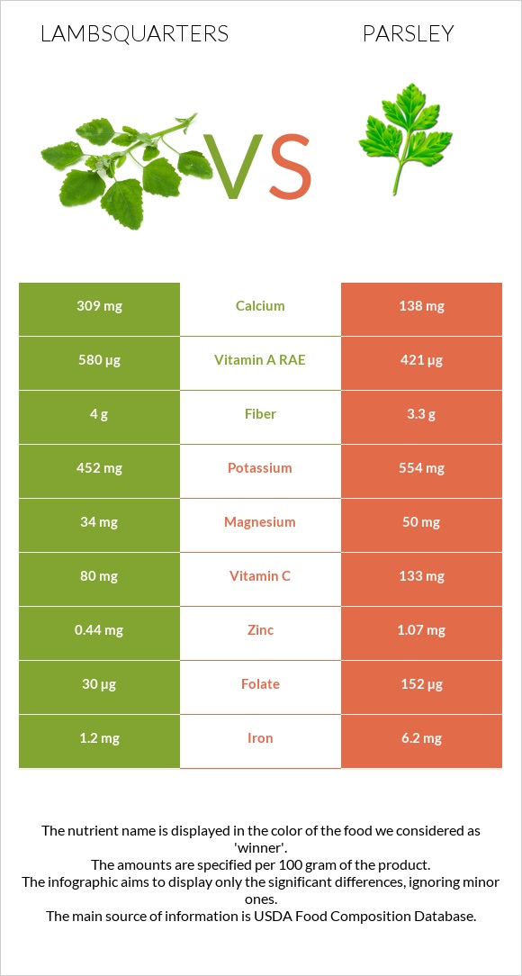 Lambsquarters vs Parsley infographic