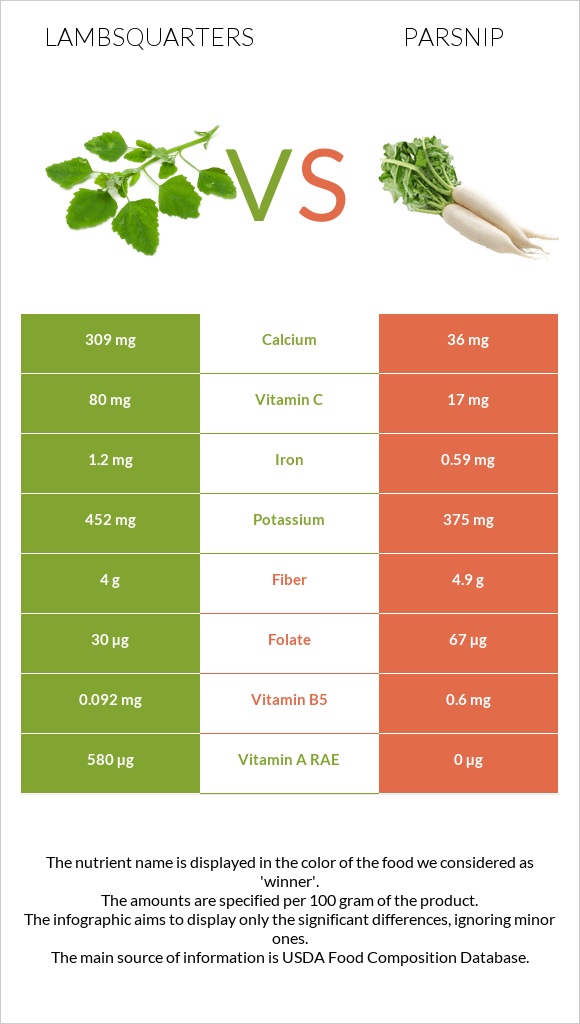 Lambsquarters vs Parsnip infographic