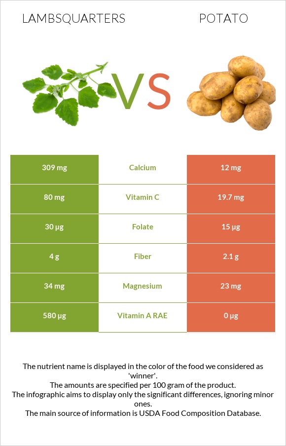 Lambsquarters vs Potato infographic
