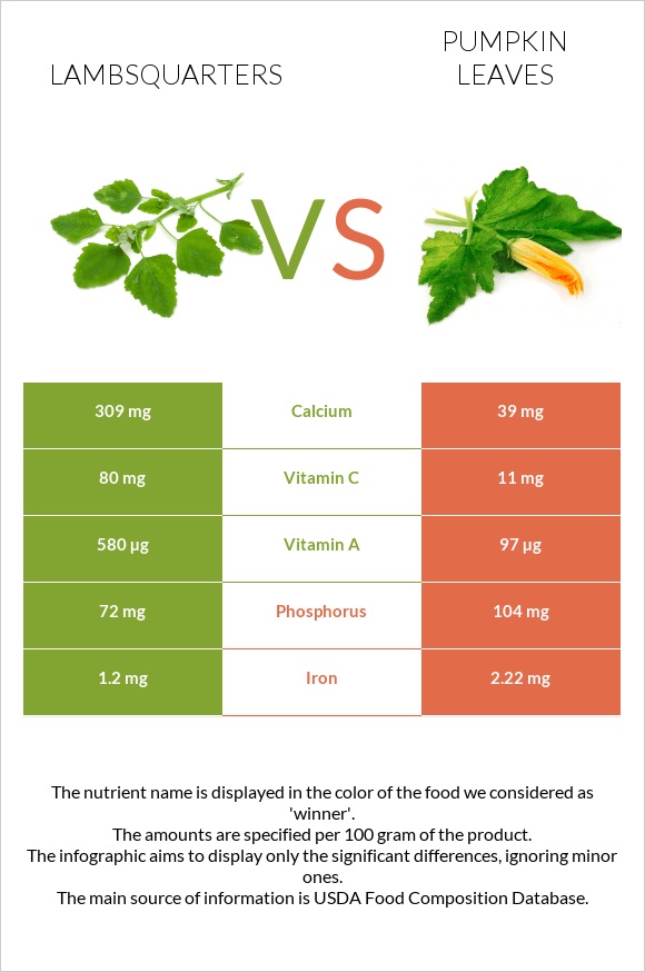 Lambsquarters vs Pumpkin leaves infographic