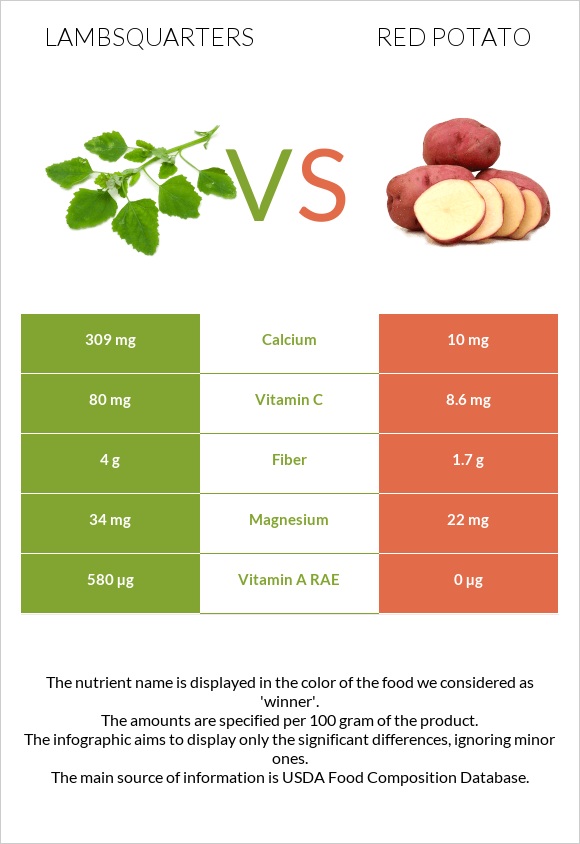 Lambsquarters vs Red potato infographic