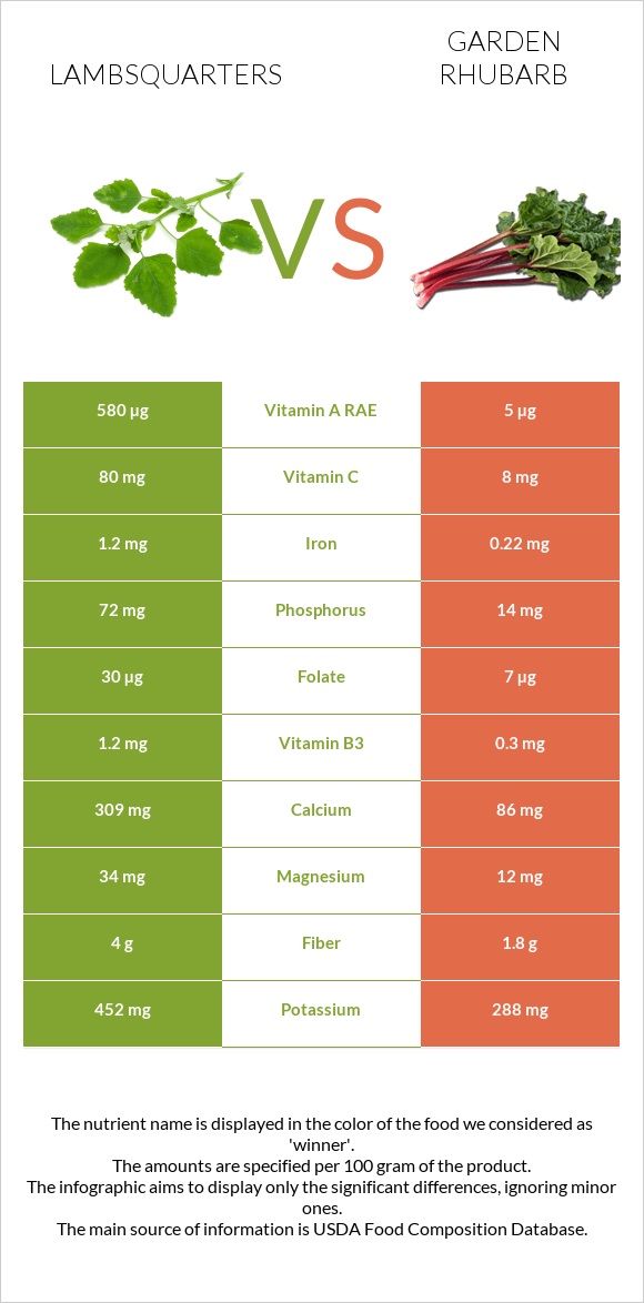 Lambsquarters vs Garden rhubarb infographic