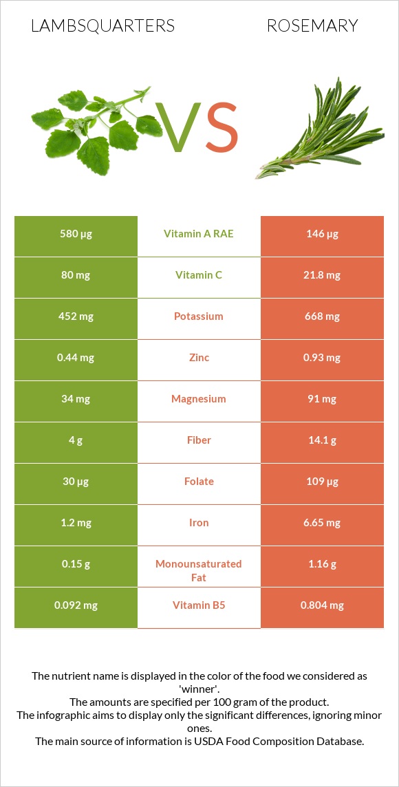 Lambsquarters vs Rosemary infographic