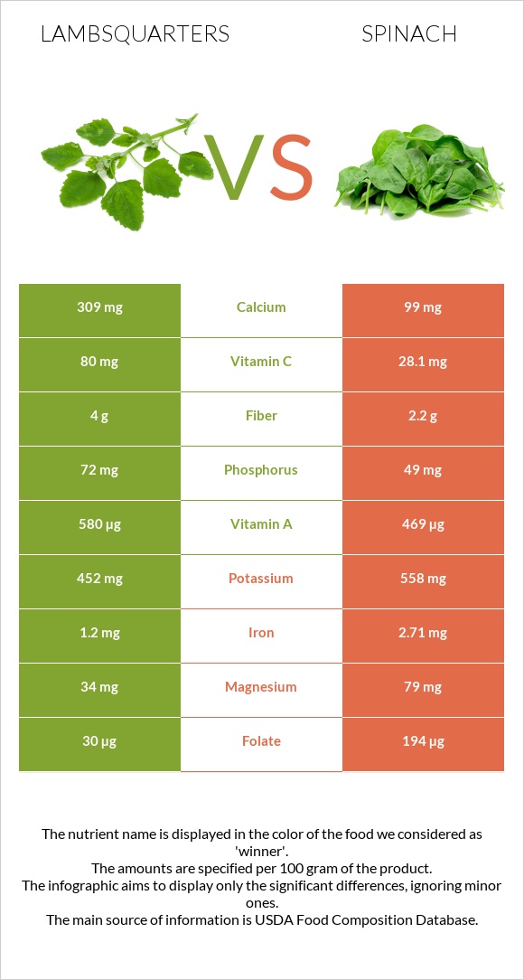 Lambsquarters vs Spinach infographic