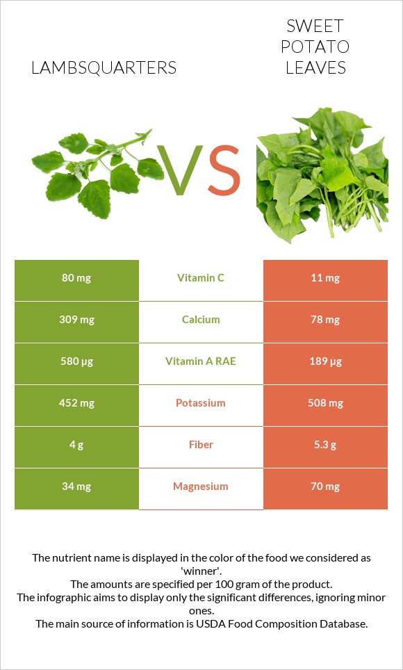 Lambsquarters vs Sweet potato leaves infographic