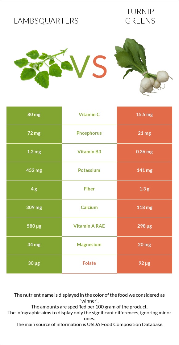 Lambsquarters vs Turnip greens infographic