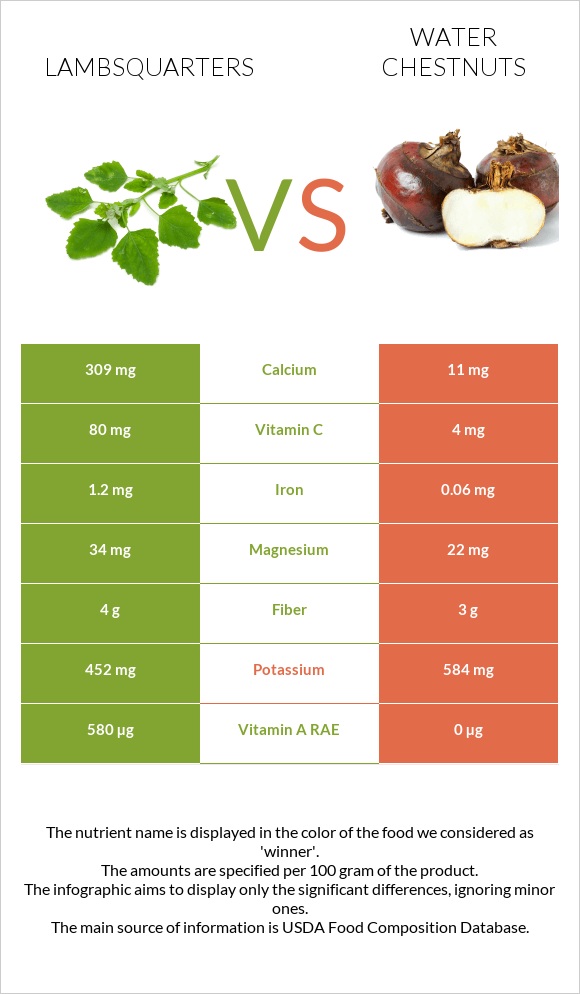 Lambsquarters vs Water chestnuts infographic