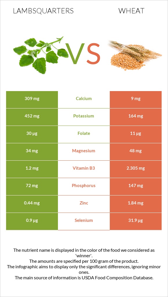 Lambsquarters vs Ցորեն infographic