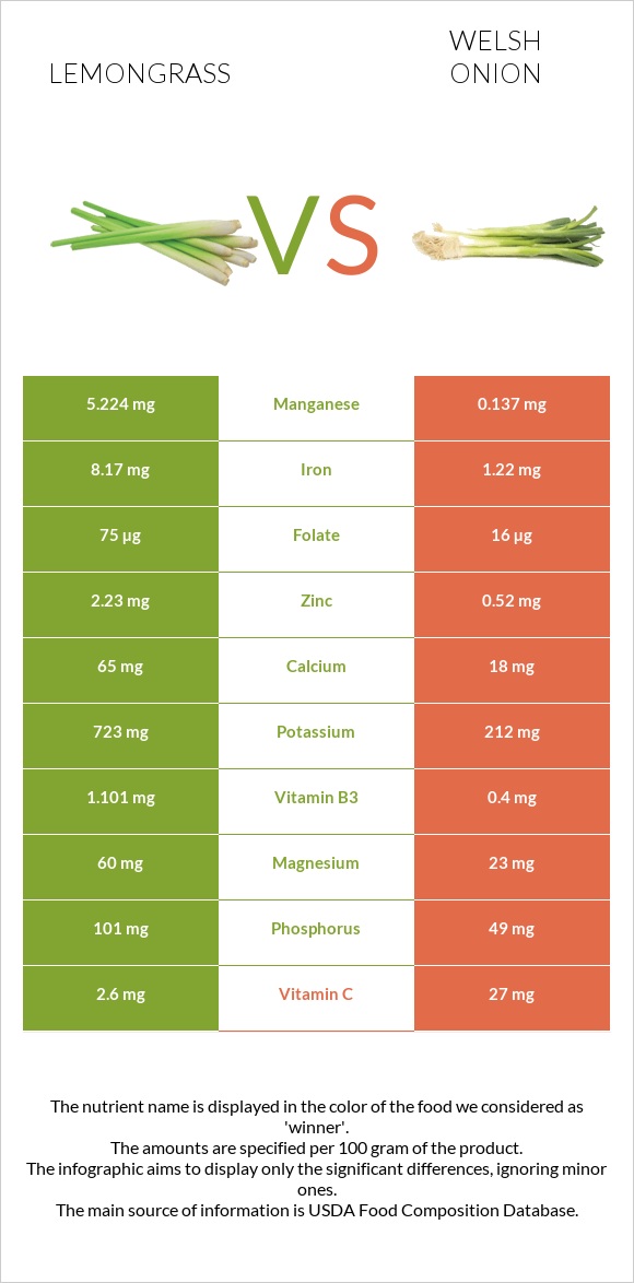 Lemongrass vs Welsh onion infographic