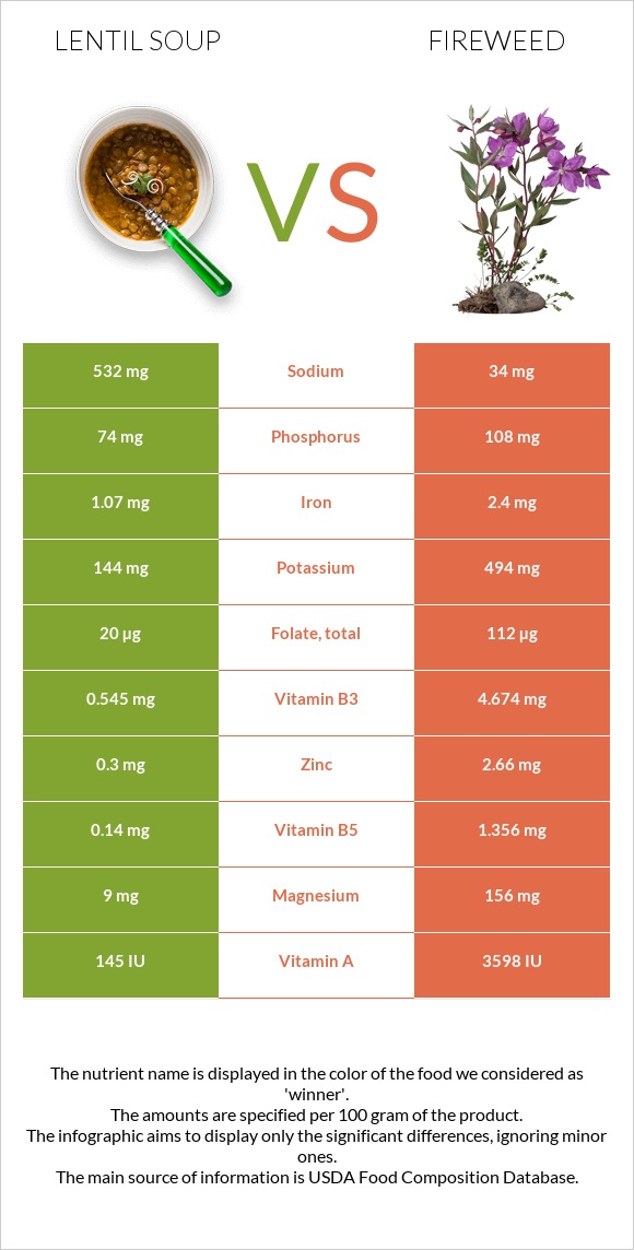 Lentil soup vs Fireweed infographic