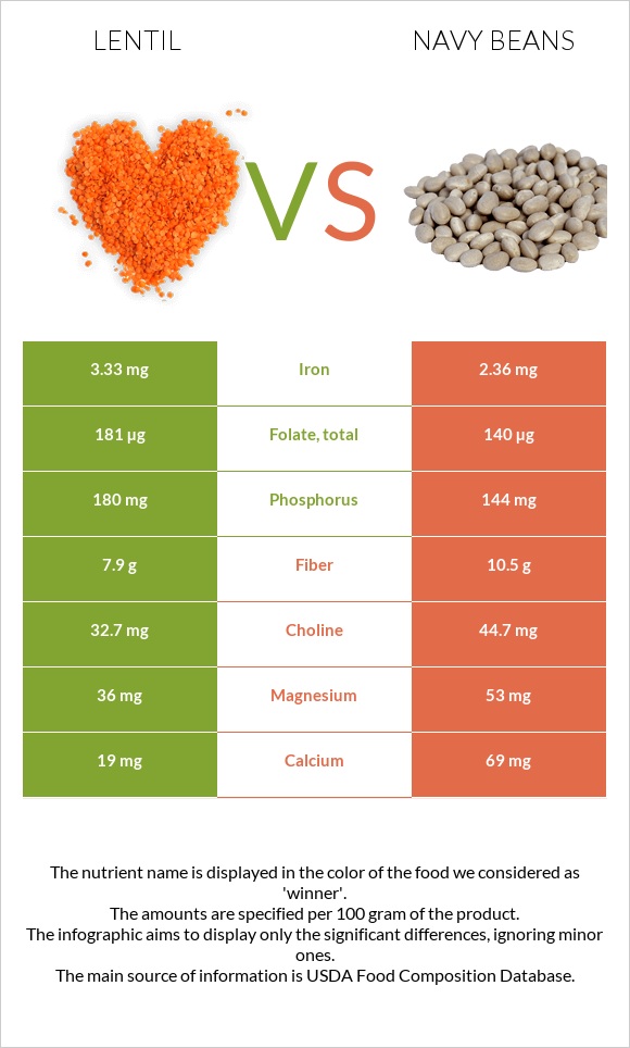 Ոսպ vs Լոբի սպիտակ նևի infographic