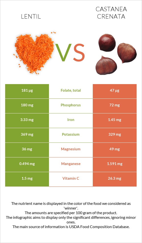 Lentil vs Castanea crenata infographic