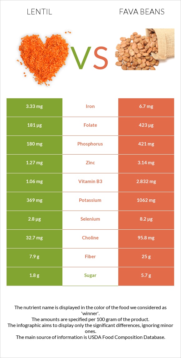 Lentil vs Fava beans infographic