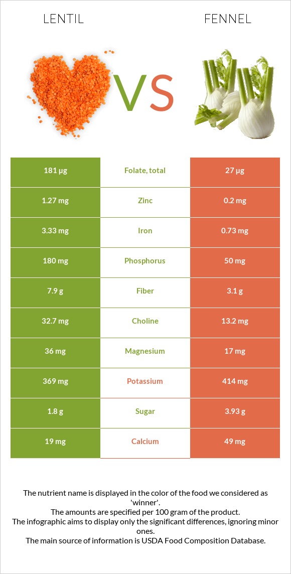 Lentil vs Fennel infographic