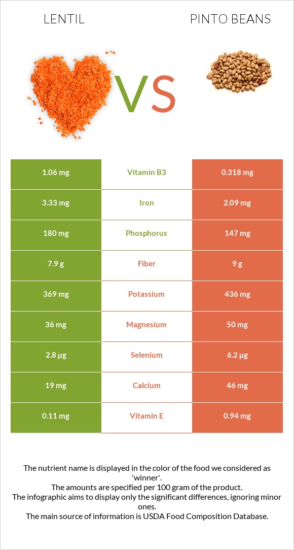 Lentil vs Pinto beans infographic