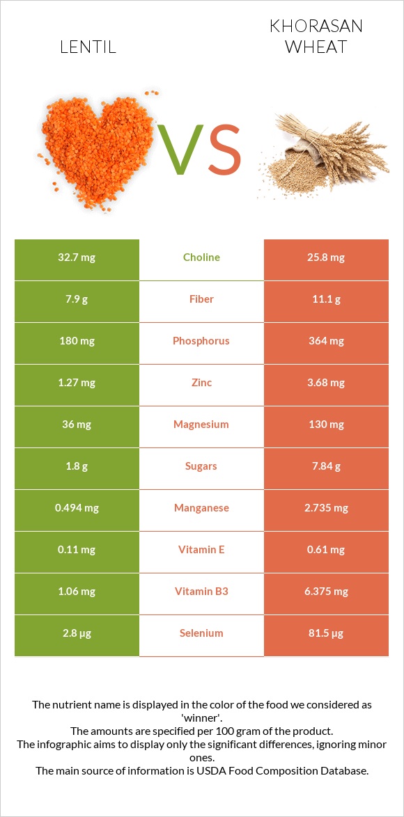 Lentil vs Khorasan wheat infographic