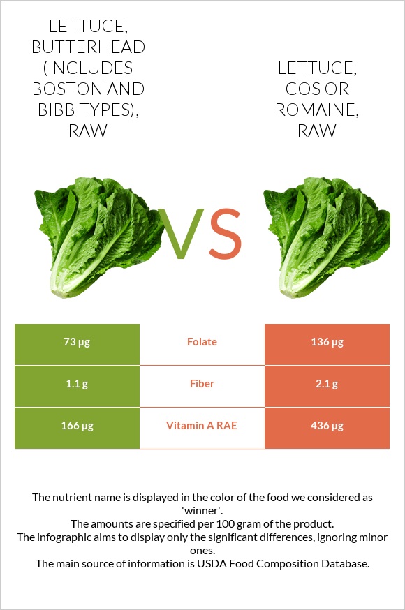 Lettuce, butterhead (includes boston and bibb types), raw vs Lettuce, cos or romaine, raw infographic