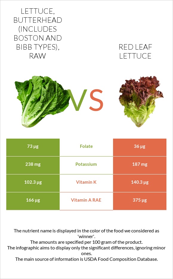 Lettuce, butterhead (includes boston and bibb types), raw vs Red leaf lettuce infographic