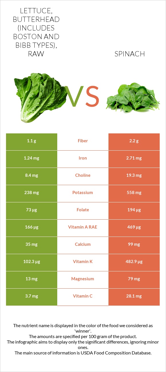 Lettuce, butterhead (includes boston and bibb types), raw vs Spinach infographic