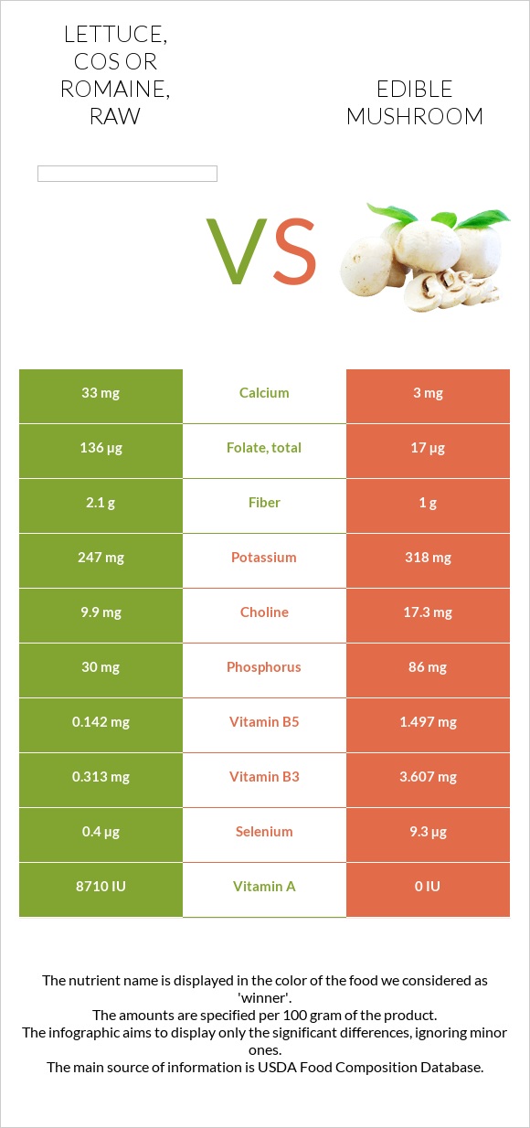 Lettuce, cos or romaine, raw vs Edible mushroom infographic