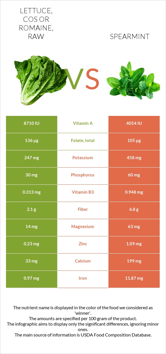 Lettuce, cos or romaine, raw vs. Spearmint — InDepth Nutrition Comparison