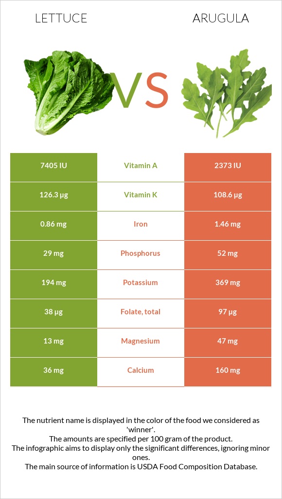 Lettuce vs Arugula infographic