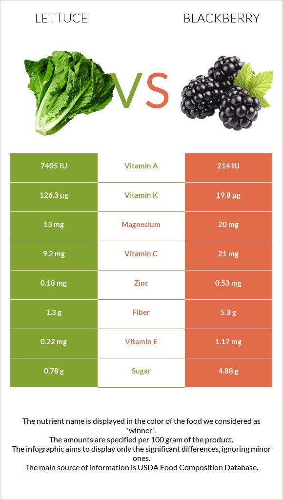 Lettuce vs Blackberry infographic