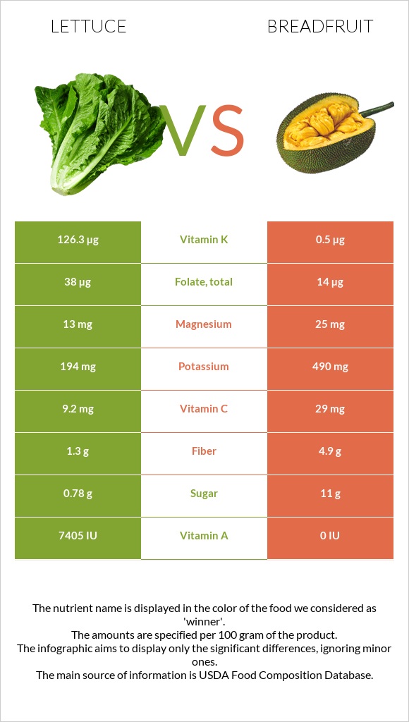 Lettuce vs Breadfruit infographic