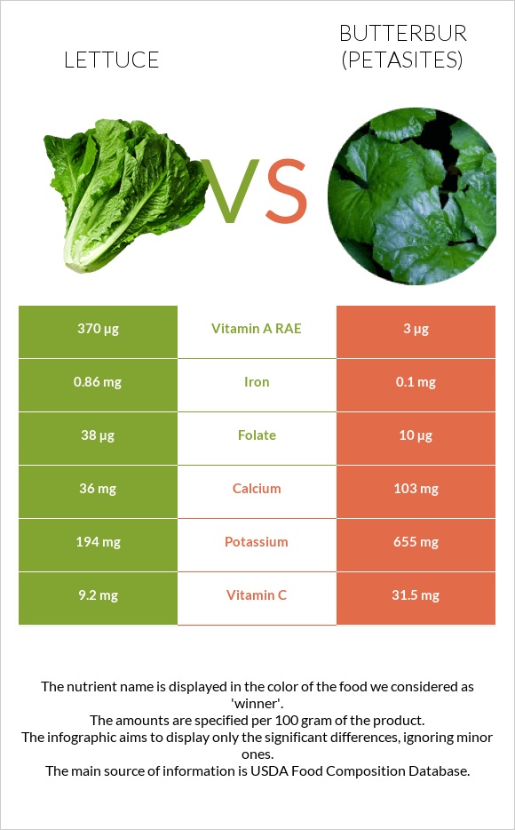 Lettuce vs Butterbur infographic