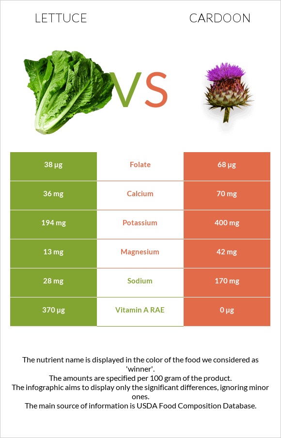 Lettuce vs Cardoon infographic