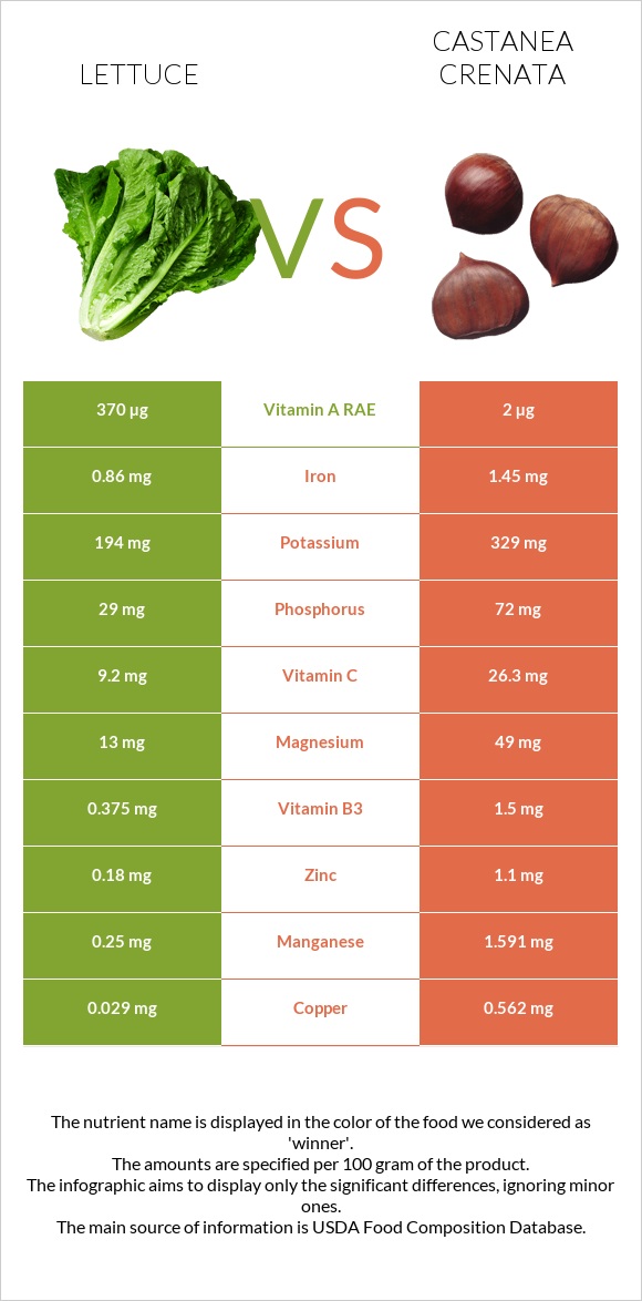 Lettuce vs Castanea crenata infographic